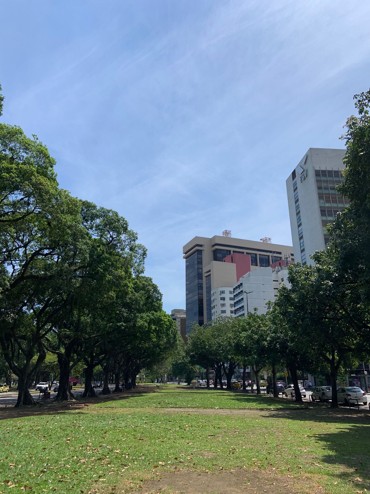 Conheça mais sobre o Flamengo: um bairro do Rio de Janeiro