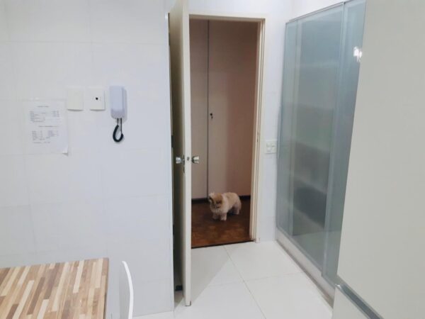 Apartamento Residencial à Venda | Jardim Paulista | São Paulo | AP0256_MMQ - Imagem 8