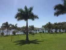 Apartamento Residencial à Venda | Lagoa da Conceição | Florianópolis | AP2503_MMQ