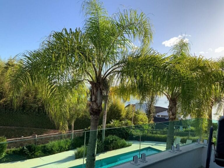 Apartamento Residencial à Venda | Canasvieiras | Florianópolis | AP1561_MMQ