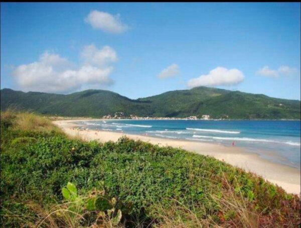 Apartamento Residencial à Venda | Pântano do Sul | Florianópolis | AP0955_MMQ - Imagem 14
