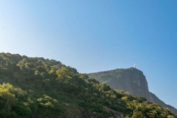 Apartamento Residencial à Venda | Jardim Botânico | Rio de Janeiro | AP0499_MMQ - Imagem 11