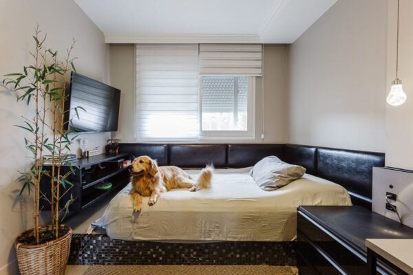 Casa Residencial à Venda | Saco Grande | Florianópolis | CA0281_MMQ - Imagem 22
