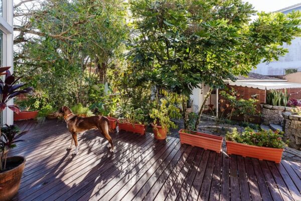Casa Residencial à Venda | Sambaqui | Florianópolis | CA0209_MMQ - Imagem 14