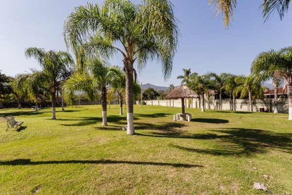Casa Residencial à Venda | Cacupé | Florianópolis | CA0208_MMQ - Imagem 35