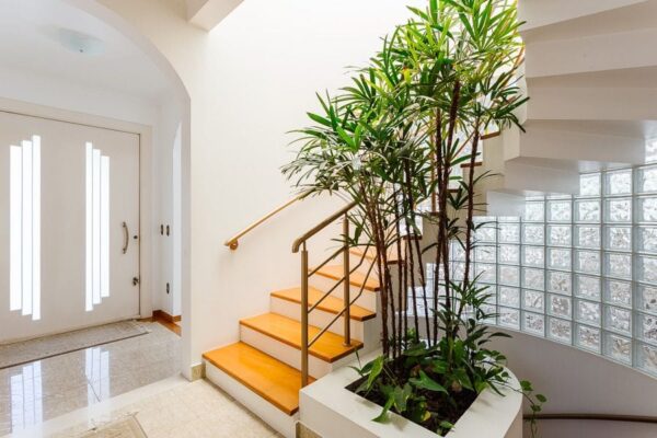 Casa Residencial à Venda | Lagoa da Conceição | Florianópolis | CA0307_MMQ - Imagem 17