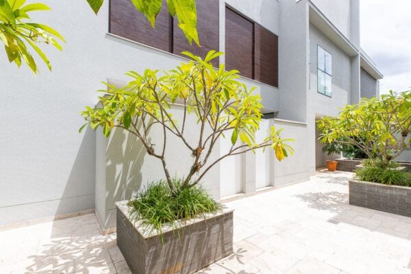 Casa Residencial à Venda e Locação | Planalto Paulista | São Paulo | CA0150_MMQ - Imagem 33