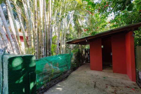 Casa Residencial à Venda | Sambaqui | Florianópolis | CA0528_MMQ - Imagem 48
