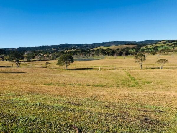 Terreno Residencial à Venda | Invernadinha | Rancho Queimado | TE0018_MMQ - Imagem 6