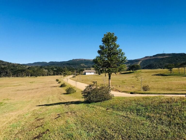 Terreno Residencial à Venda | Invernadinha | Rancho Queimado | TE0019_MMQ