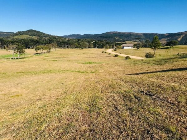 Terreno Residencial à Venda | Invernadinha | Rancho Queimado | TE0019_MMQ - Imagem 2