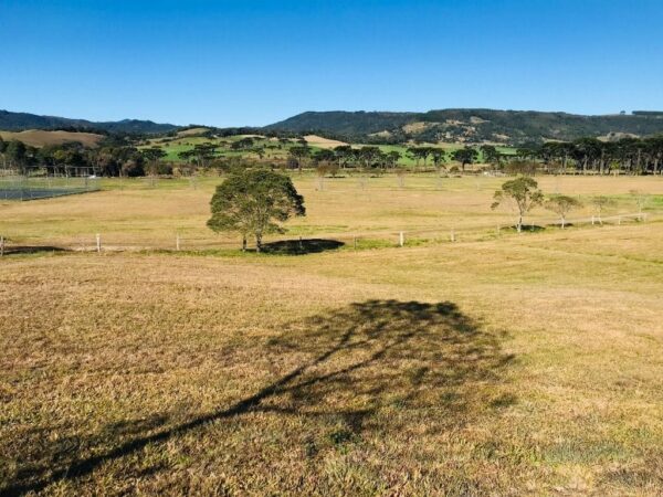 Terreno Residencial à Venda | Invernadinha | Rancho Queimado | TE0019_MMQ - Imagem 8