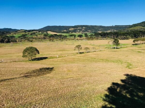 Terreno Residencial à Venda | Invernadinha | Rancho Queimado | TE0019_MMQ - Imagem 7