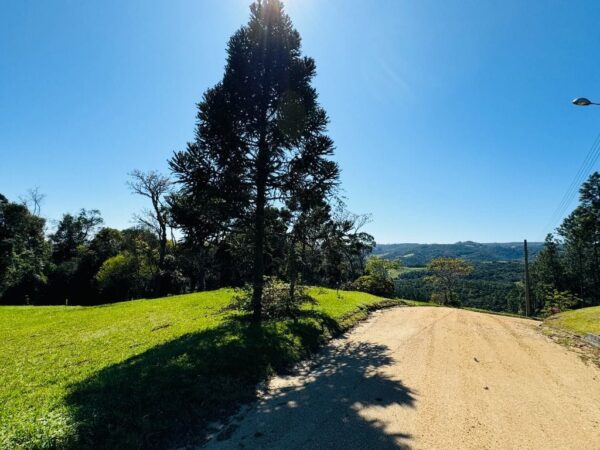 Terreno Residencial à Venda | Invernadinha | Rancho Queimado | TE0012_MMQ - Imagem 2