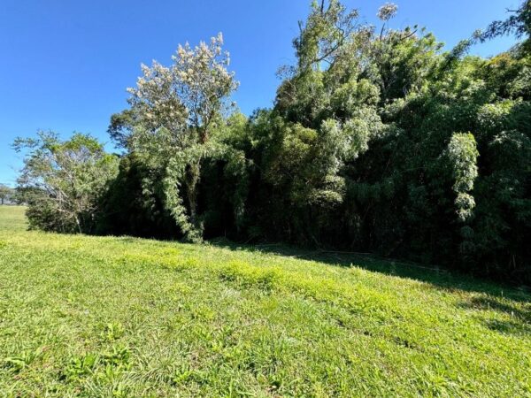 Terreno Residencial à Venda | Invernadinha | Rancho Queimado | TE0012_MMQ - Imagem 6