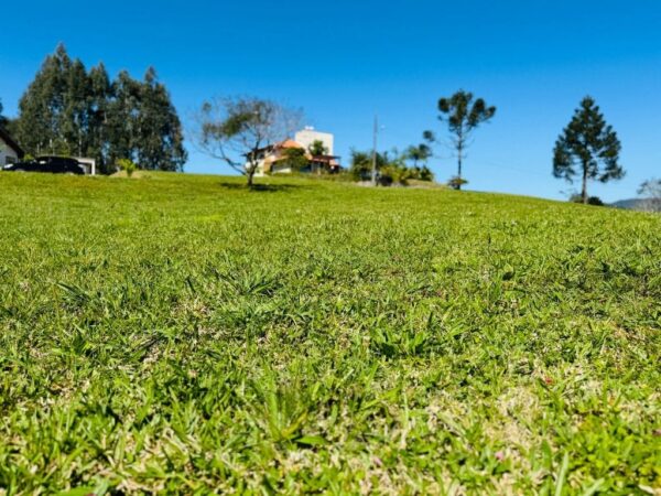 Terreno Residencial à Venda | Invernadinha | Rancho Queimado | TE0012_MMQ - Imagem 5