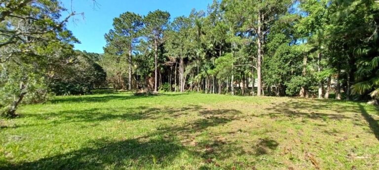 Terreno Residencial à Venda | Ribeirão da Ilha | Florianópolis | TE0045_MMQ