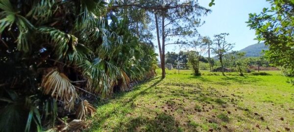 Terreno Residencial à Venda | Ribeirão da Ilha | Florianópolis | TE0045_MMQ