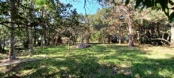 Terreno Residencial à Venda | Ribeirão da Ilha | Florianópolis | TE0045_MMQ - Imagem 3
