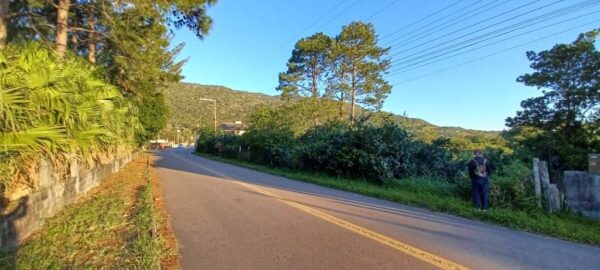 Terreno Residencial à Venda | Ribeirão da Ilha | Florianópolis | TE0045_MMQ - Imagem 8
