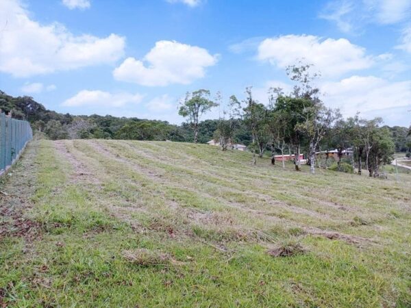 Terreno Residencial à Venda | Bairro | Rancho Queimado | TE0013_MMQ - Imagem 6