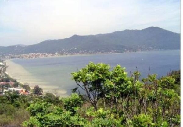 Terreno Residencial à Venda | Barra da Lagoa | Florianópolis | TE0059_MMQ - Imagem 7