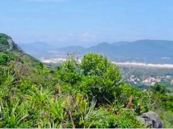 Terreno Residencial à Venda | Barra da Lagoa | Florianópolis | TE0059_MMQ - Imagem 6