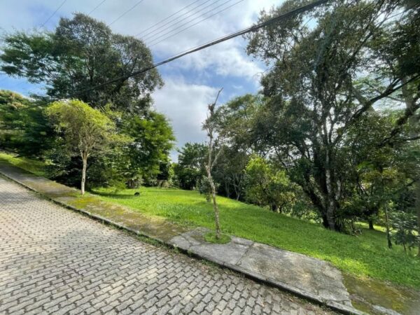 Terreno Residencial à Venda | Córrego Grande | Florianópolis | TE0026_MMQ - Imagem 2