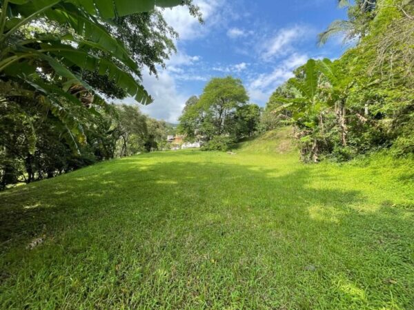Terreno Residencial à Venda | Córrego Grande | Florianópolis | TE0026_MMQ