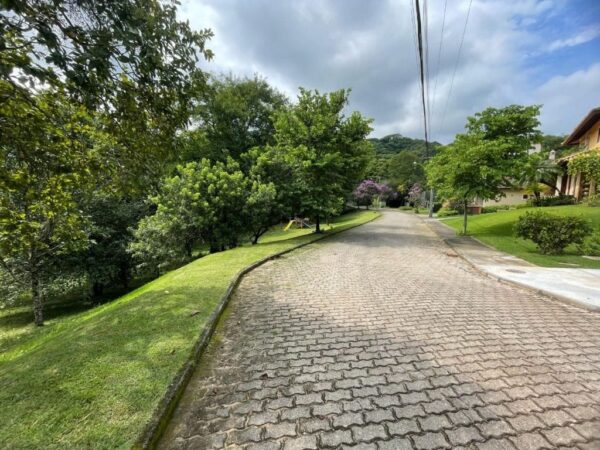 Terreno Residencial à Venda | Córrego Grande | Florianópolis | TE0026_MMQ - Imagem 3