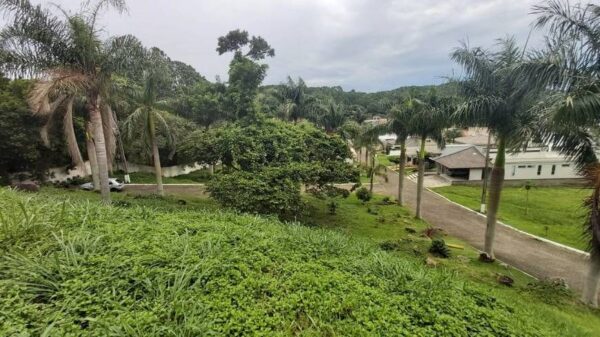 Terreno Residencial à Venda | Cachoeira do Bom Jesus | Florianópolis | TE0052_MMQ - Imagem 3