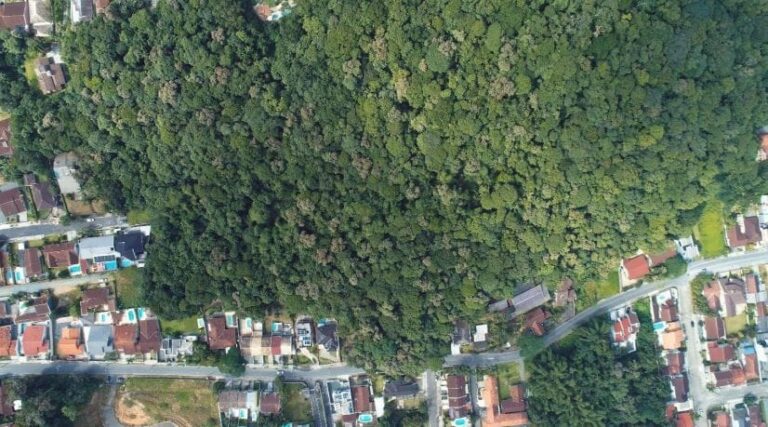 Terreno Residencial à Venda | América | Joinville | TE0060_MMQ