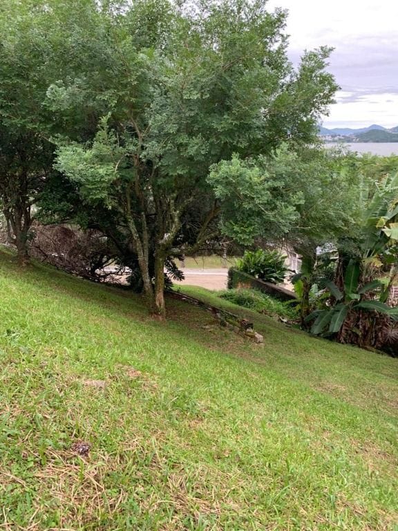 Terreno Residencial à Venda | Cacupé | Florianópolis | TE0003_MMQ