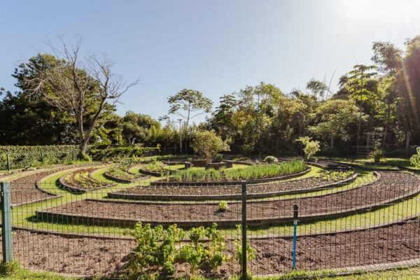 Terreno Residencial à Venda | Cacupé | Florianópolis | TE0075_MMQ - Imagem 9