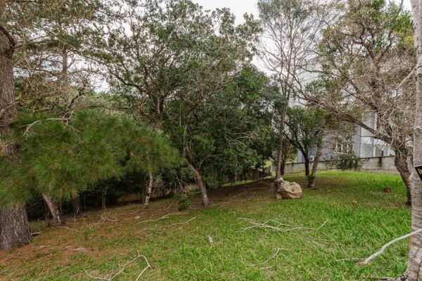Terreno Residencial à Venda | Cacupé | Florianópolis | TE0075_MMQ - Imagem 4