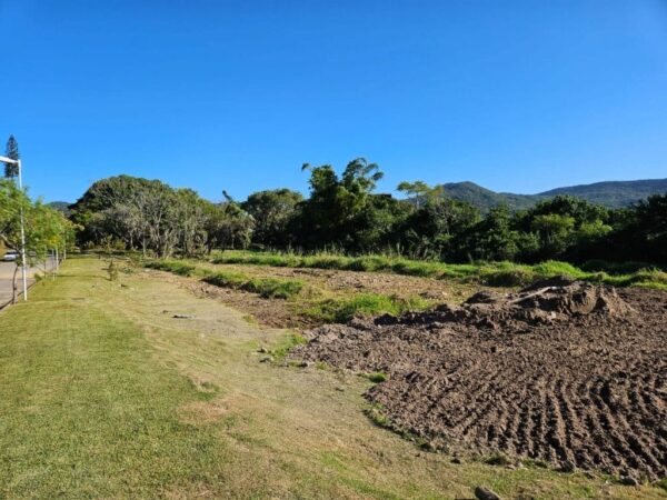 Terreno Residencial à Venda | Ratones | Florianópolis | TE0035_MMQ