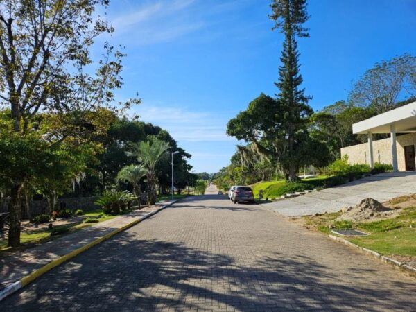 Terreno Residencial à Venda | Ratones | Florianópolis | TE0035_MMQ - Imagem 2