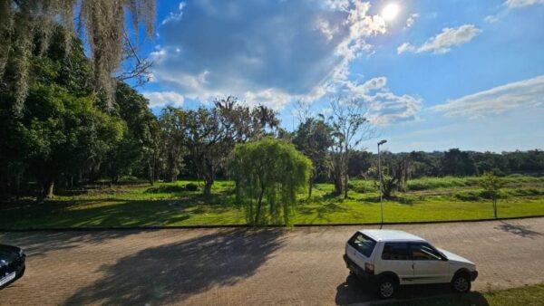 Terreno Residencial à Venda | Ratones | Florianópolis | TE0035_MMQ - Imagem 5