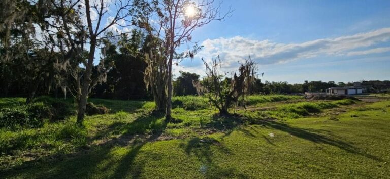 Terreno Residencial à Venda | Ratones | Florianópolis | TE0036_MMQ