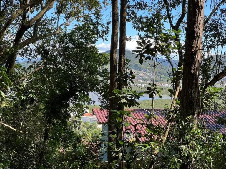 Terreno Residencial à Venda | João Paulo | Florianópolis | TE0078_MMQ