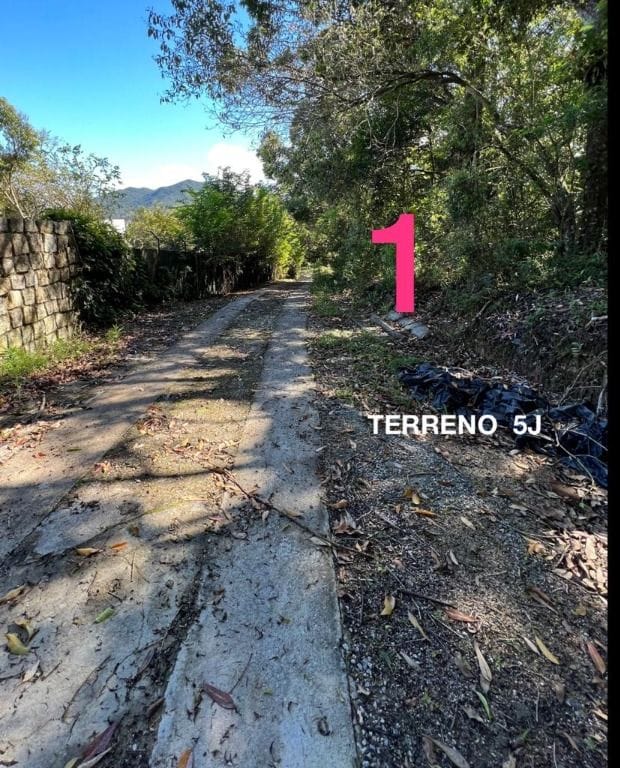 Terreno Residencial à Venda | João Paulo | Florianópolis | TE0078_MMQ
