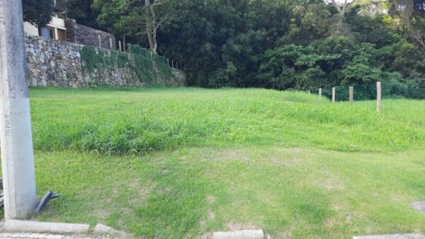 Terreno Residencial à Venda | Lagoa da Conceição | Florianópolis | TE0069_MMQ - Imagem 3