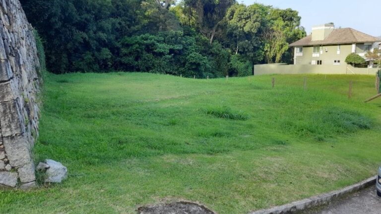 Terreno Residencial à Venda | Lagoa da Conceição | Florianópolis | TE0069_MMQ