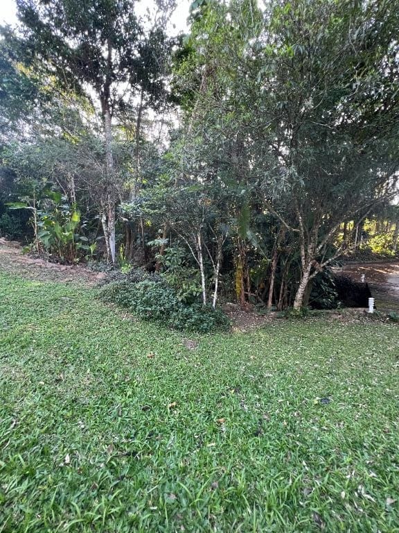 Terreno Residencial à Venda | Lagoa da Conceição | Florianópolis | TE0082_MMQ