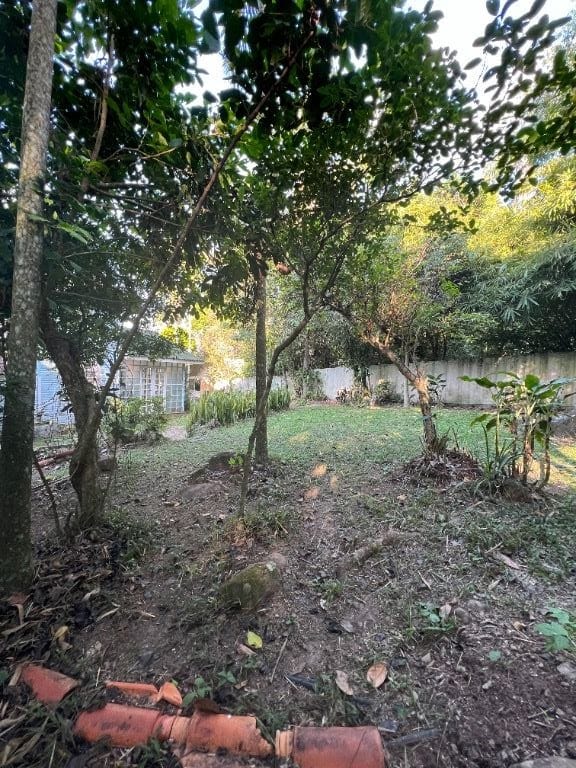 Terreno Residencial à Venda | Lagoa da Conceição | Florianópolis | TE0082_MMQ