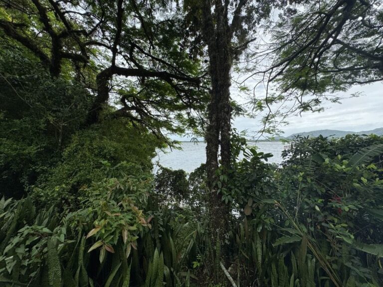 Terreno Residencial à Venda | Lagoa da Conceição | Florianópolis | TE0004_MMQ