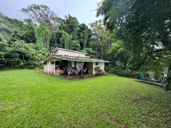 Terreno Residencial à Venda | Lagoa da Conceição | Florianópolis | TE0004_MMQ - Imagem 3