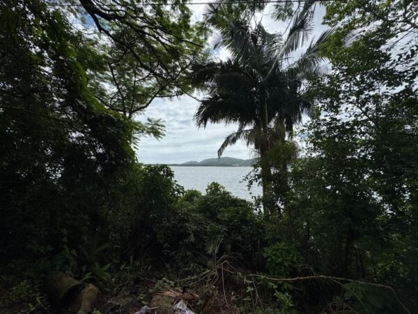 Terreno Residencial à Venda | Lagoa da Conceição | Florianópolis | TE0004_MMQ - Imagem 15