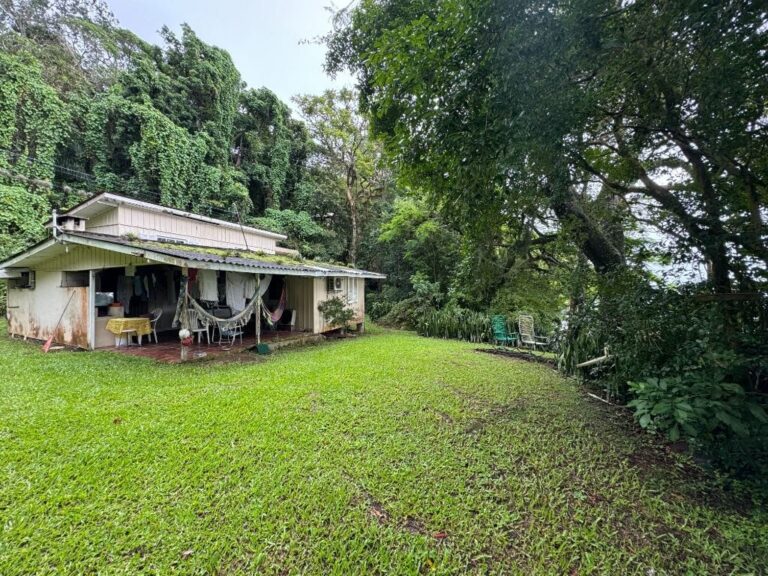 Terreno Residencial à Venda | Lagoa da Conceição | Florianópolis | TE0004_MMQ