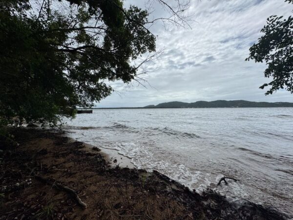 Terreno Residencial à Venda | Lagoa da Conceição | Florianópolis | TE0004_MMQ - Imagem 9